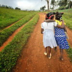 Seven Bosnia Young Schoolgirls age 13-14 pregnant after class trip