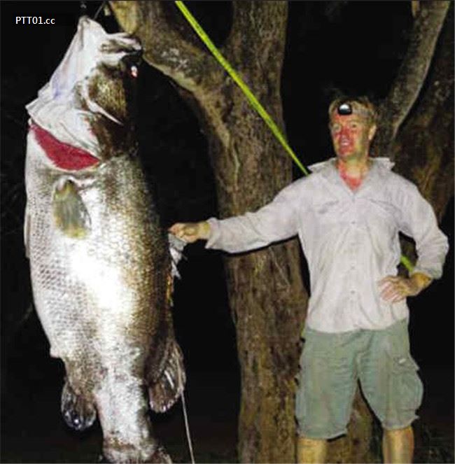 largest-bass-fish-caught