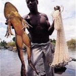 Largest Animal, Reptile, Fish ever caught by real people, not a fairy tail story!