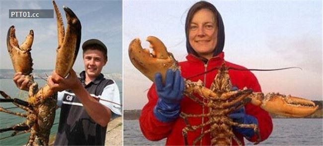 largest-lobster-caught