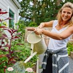 Tips for Utilising Space in a Tiny Garden how to utilise space in tiny garden