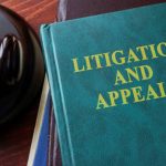 how to file appeal for criminal case in statesboro ga